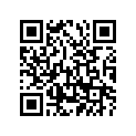 298-16523-00-00 PLATE,WT THRUST