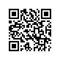 29900006 STATORASY