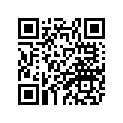 29L-17261-00-00 