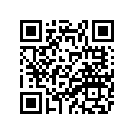 29L-21660-30-00 Graphic  Ur