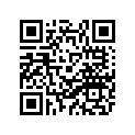 29L-27111-00-33 29L271110133
