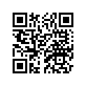 2A4-11610-00-00 