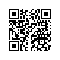2A6-11162-00-00 
