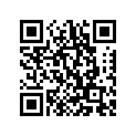2A6-11638-00-00 