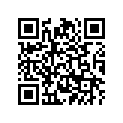 2A6-25381-00-00 