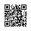 2B0-85950-00-00 Провода Электрические (Комплект)