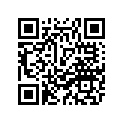 2BS-28199-G1-00 