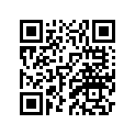 2C0-22290-00-P0 Накладка Металлическая