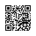 2CX-2832L-30-00 GRAPHIC, 13