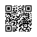 2D1-21651-00-P0 Крыло Заднее -  Часть