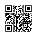 2D1-2221B-00-00 ﾌﾞﾗｹｯﾄ.,2