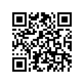2DF-14291-00-00 BRACKET 1