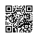 2DF-21131-00-00 BRACKET