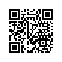 2DF-2117A-00-00 STAY
