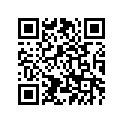 2DF-21621-00-00 FLAP