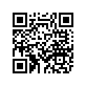 2DF-22124-00-00 BUSH 2