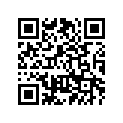 2DF-22184-00-00 BUSH