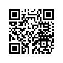 2DF-24216-00-00 STAY