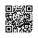 2DF-24322-00-00 PIPE 11