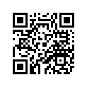 2DF-27262-00-00 LEVER