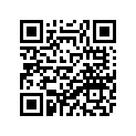 2DF-82511-09-00 Ключ к Замку Зажигания