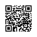 2DF-83922-00-00 LEVER 2