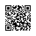 2DG-28356-00-00 STAY 1