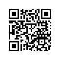 2DP-F1711-00-P2 Обтекатель Пластиковый