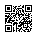 2DS-E1651-00-00 Rod, Connecting