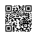 2E9-23412-00-00 Race, Ball 2