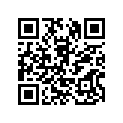 2E9-26243-00-00 Ручка Руля