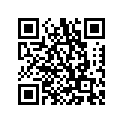 2F1-13336-00-00 