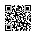 2F1-24731-00-00 