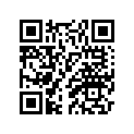 2G2-13161-00-00 