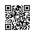 2G2-24161-00-00 