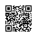 2G5-21110-00-33 FRAME
