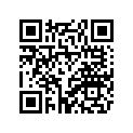 2GH-W0045-01-00 Колодки Тормозные (К-т 2 шт.)