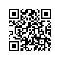2HG-17461-20-00 9383A1201700