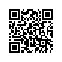 2HL-28381-00-00 
