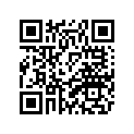 2JS-H3922-10-00 LEVER 2
