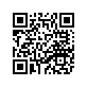 2JT-17211-00-00 Шестерня, первого колеса