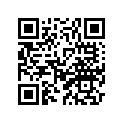 2L0-11631-00-X0 Поршень