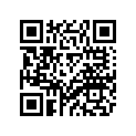 2MB-E2118-00-00 Вкладыш Металлический