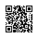 2NL-23448-00-00 Втулка Дистанционная