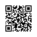 2PG-25828-20-00 Накладка на Тормозную колодку
