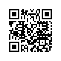 2PP-21711-00-P7 Обтекатель Пластиковый