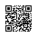 2PP-28199-H1-00 