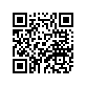 2PP-28381-00-00 Стекло Ветровое Пластиковое