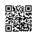 2R2-25937-00-00 Ботинок