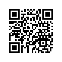 2SA-23411-00-00 RACE, BALL 1